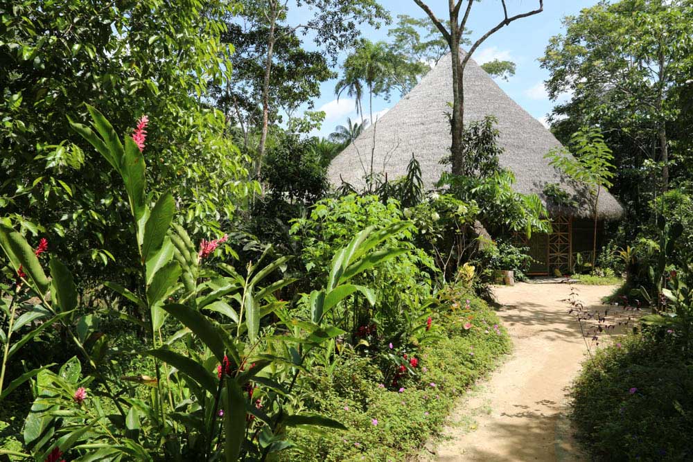 The programs featured image